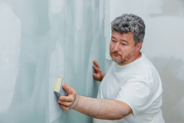 Best Fire-Damaged Drywall Repair  in Litchfield, IL